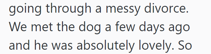 going through a messy divorce. We met the dog a few days ago and he was absolutely lovely. So