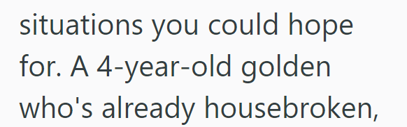 situations you could hope for. A 4-year-old golden who's already housebroken,