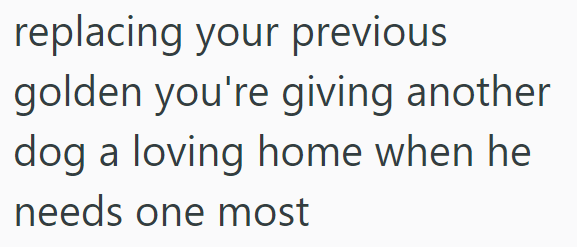 replacing your previous golden you're giving another dog a loving home when he needs one most