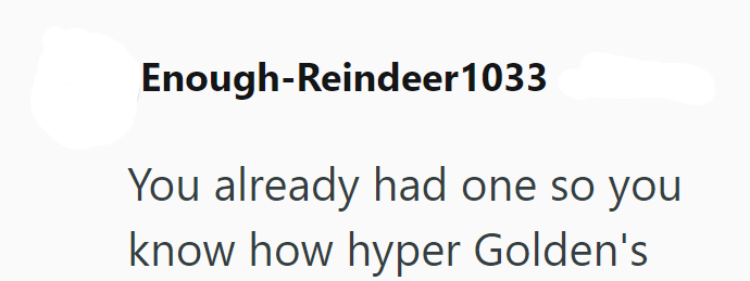 Enough-Reindeer 1033 You already had one so you know how hyper Golden's