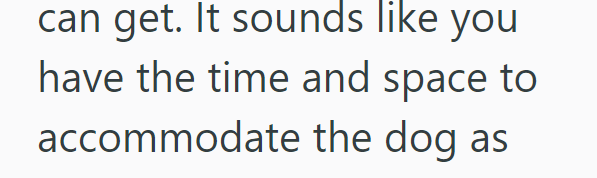 can get. It sounds like you have the time and space to accommodate the dog as