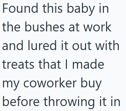 Found this baby in the bushes at work and lured it out with treats that I made my coworker buy before throwing it in