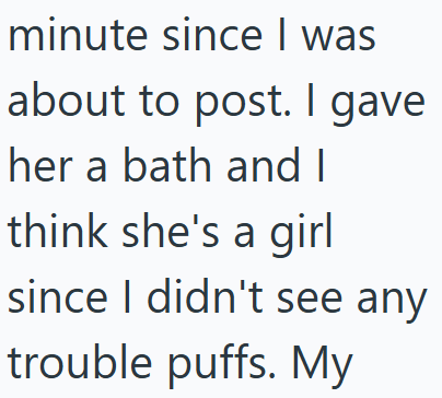 minute since I was about to post. I gave her a bath and I think she's a girl since I didn't see any trouble puffs. My