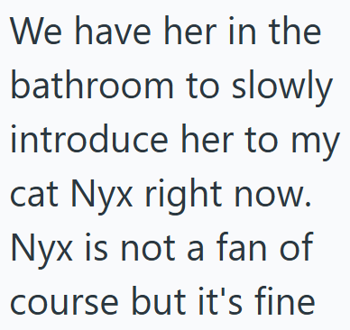 We have her in the bathroom to slowly introduce her to my cat Nyx right now. Nyx is not a fan of course but it's fine