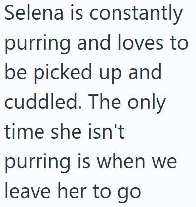 Selena is constantly purring and loves to be picked up and cuddled. The only time she isn't purring is when we leave her to go