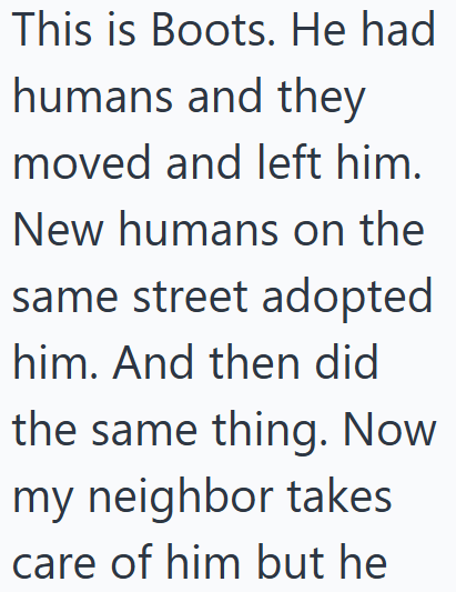 This is Boots. He had humans and they moved and left him. New humans on the same street adopted him. And then did the same thing. Now my neighbor takes care of him but he