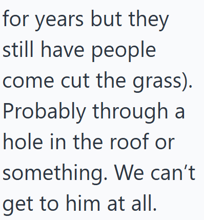 for years but they still have people come cut the grass). Probably through a hole in the roof or something. We can't get to him at all.