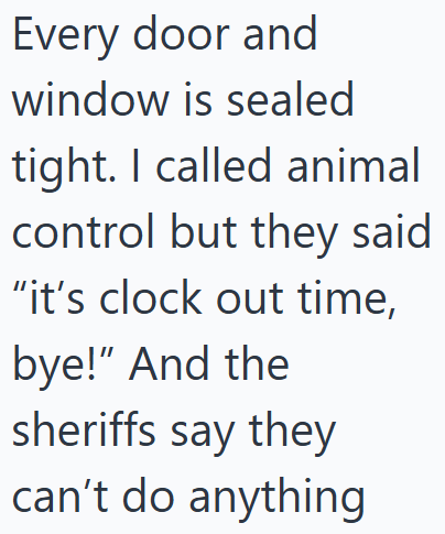 Every door and window is sealed tight. I called animal control but they said "it's clock out time, bye!" And the sheriffs say they can't do anything