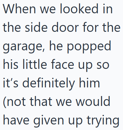When we looked in the side door for the garage, he popped his little face up so it's definitely him (not that we would have given up trying