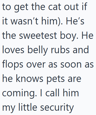 to get the cat out if it wasn't him). He's the sweetest boy. He loves belly rubs and flops over as soon as he knows pets are coming. I call him my little security