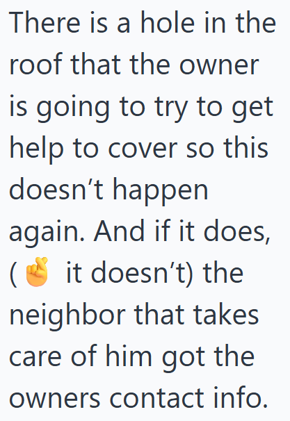 There is a hole in the roof that the owner is going to try to get help to cover so this doesn't happen again. And if it does, (it doesn't) the neighbor that takes care of him got the owners contact info.