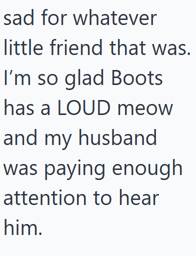 sad for whatever little friend that was. I'm so glad Boots has a LOUD meow and my husband was paying enough attention to hear him.