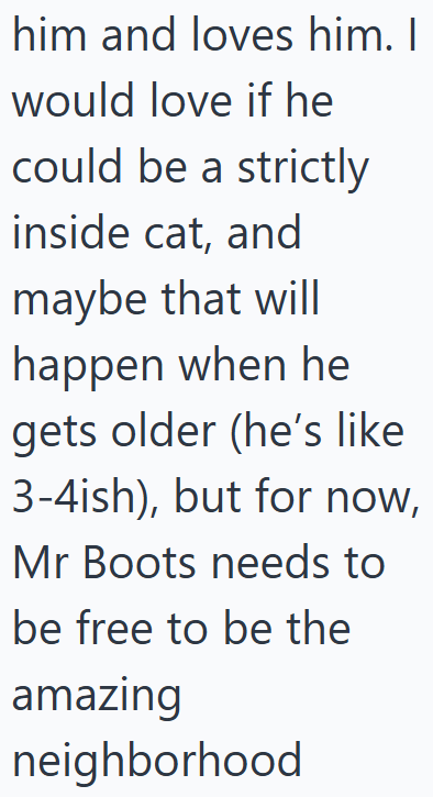 him and loves him. I would love if he could be a strictly inside cat, and maybe that will happen when he gets older (he's like 3-4ish), but for now, Mr Boots needs to be free to be the amazing neighborhood