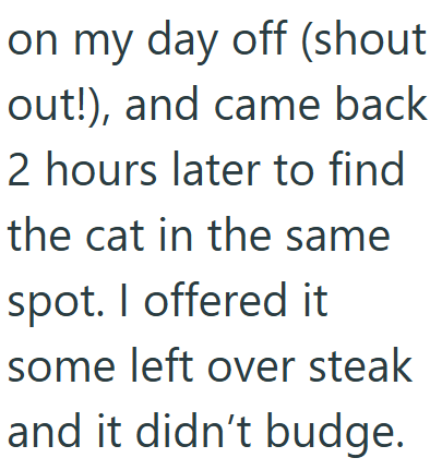 Cheezburger Image 10637571072