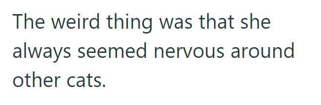 The weird thing was that she always seemed nervous around other cats.
