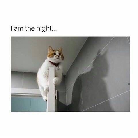 I am the night...