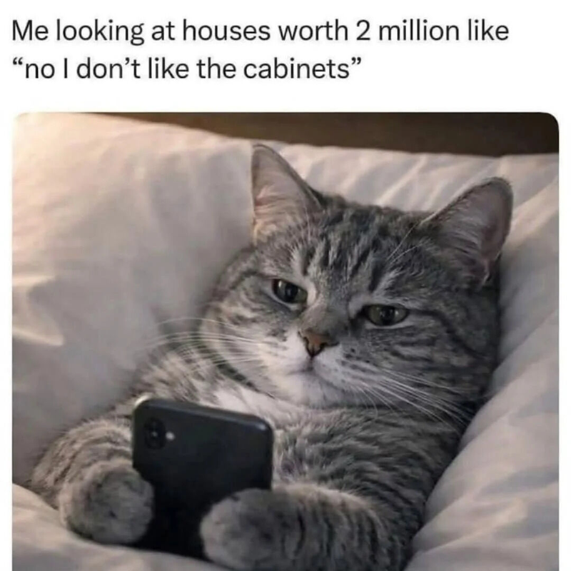 Me looking at houses worth 2 million like "no I don't like the cabinets"