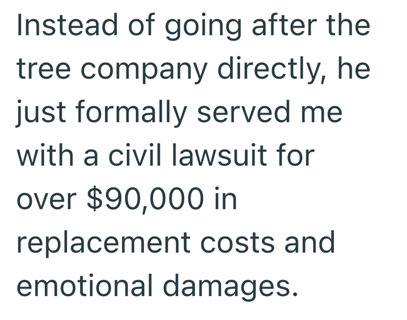Instead of going after the tree company directly, he just formally served me with a civil lawsuit for over $90,000 in replacement costs and emotional damages.