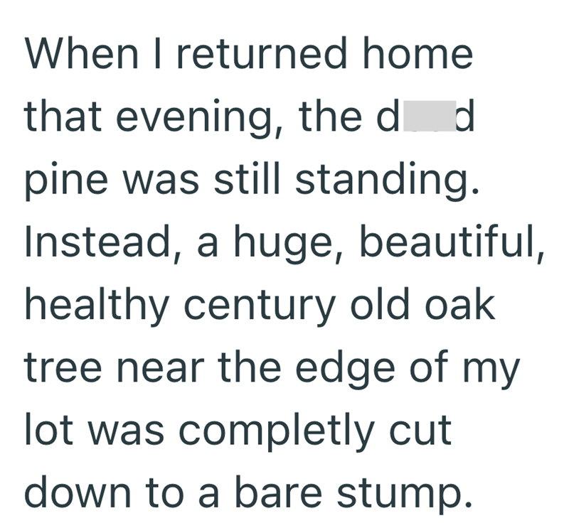 When I returned home that evening, the d d pine was still standing. Instead, a huge, beautiful, healthy century old oak tree near the edge of my lot was completly cut down to a bare stump.