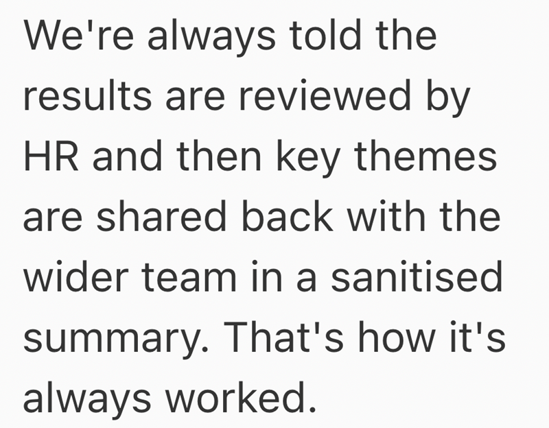 We're always told the results are reviewed by HR and then key themes are shared back with the wider team in a sanitised summary. That's how it's always worked.