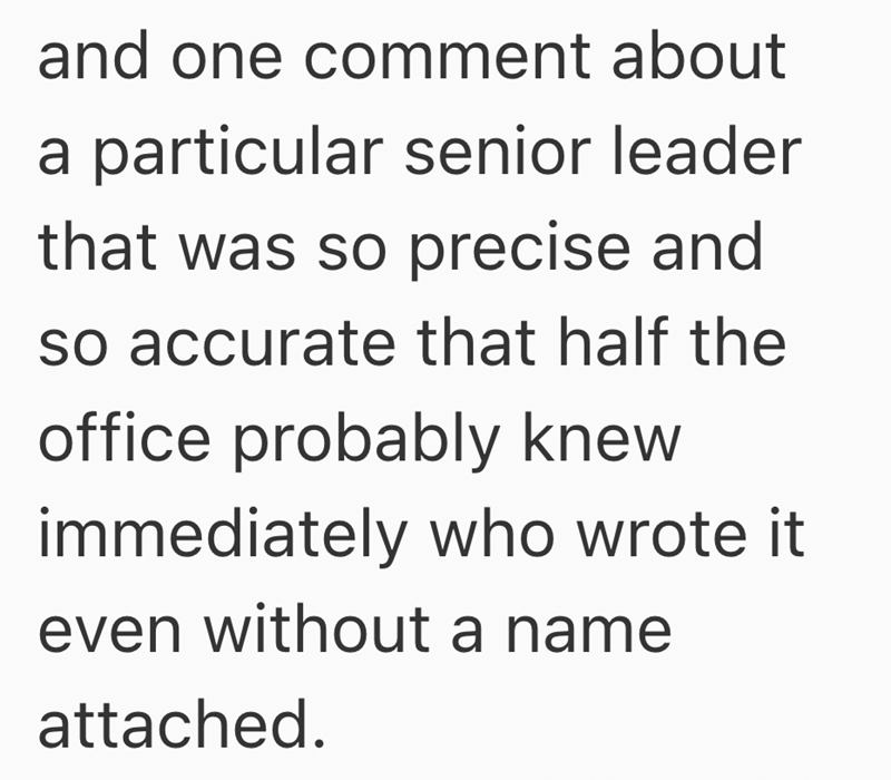 and one comment about a particular senior leader that was so precise and so accurate that half the office probably knew immediately who wrote it even without a name attached.