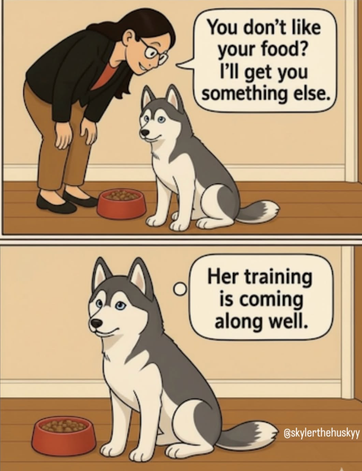 You don't like your food? I'll get you something else. Her training is coming along well. @skylerthehuskyy
