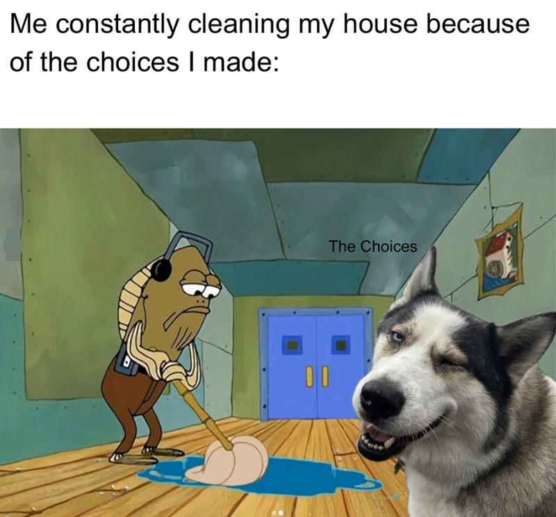 Me constantly cleaning my house because of the choices I made: The Choices
