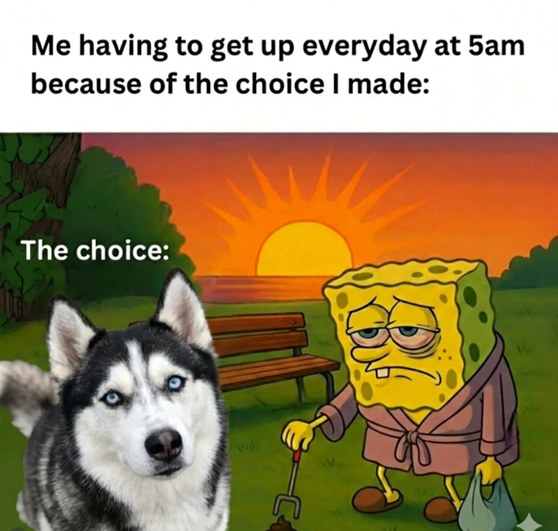 Me having to get up everyday at 5am because of the choice I made: The choice: vile C