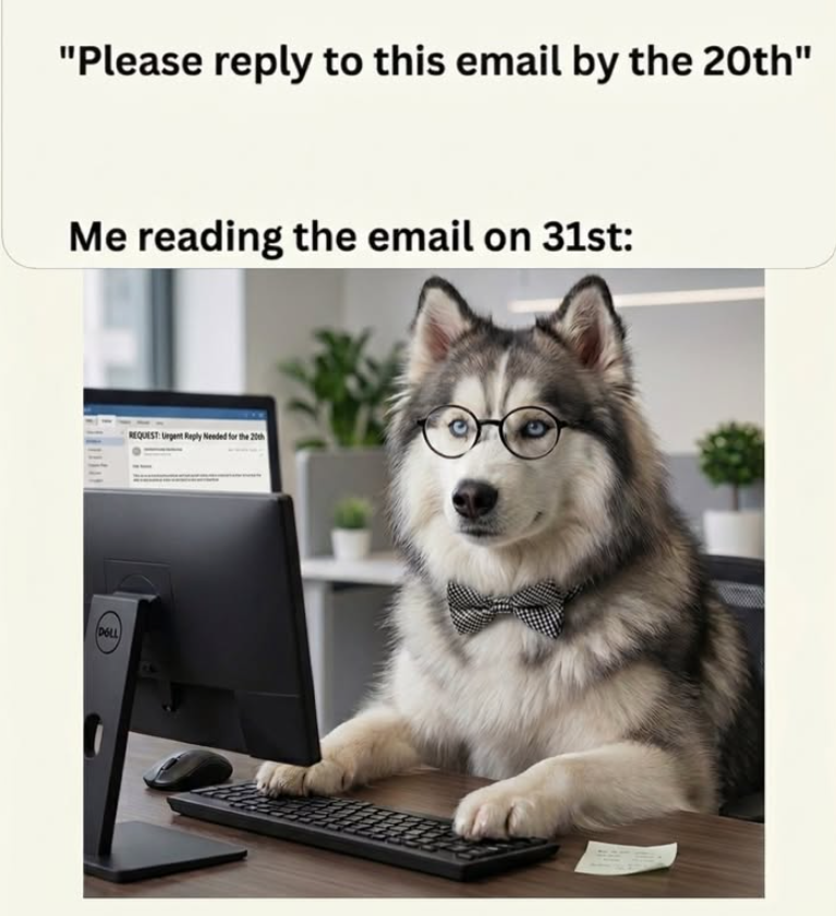 "Please reply to this email by the 20th" Me reading the email on 31st: DOLL REQUEST: Urgent Reply Needed for the 20th