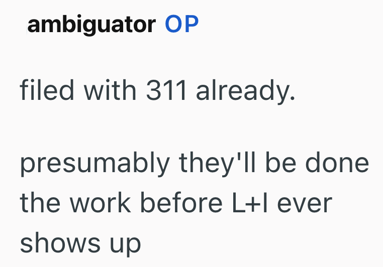 ambiguator OP filed with 311 already. presumably they'll be done. the work before L+I ever shows up