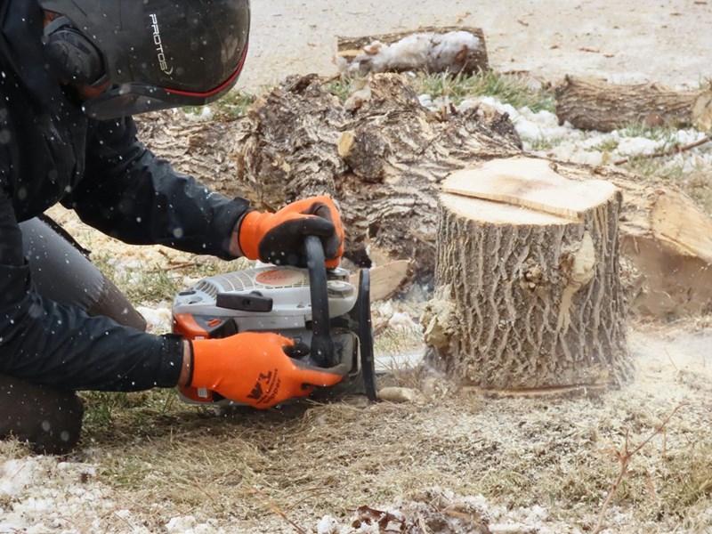 A photograph representing a man assessing a tree stump after having cut it down. Subject is a model.