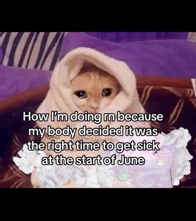 How I'm doing in because my body decided it was onairs form the right time to get sick at the start of June