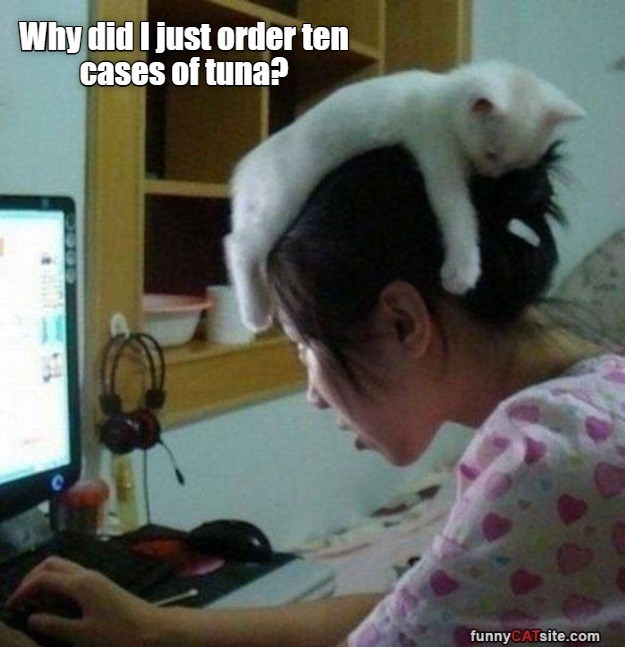Cheezburger Image 10637683200