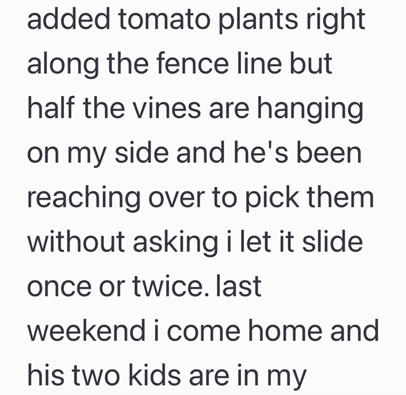 added tomato plants right along the fence line but half the vines are hanging on my side and he's been reaching over to pick them without asking i let it slide once or twice. last weekend i come home and his two kids are in my
