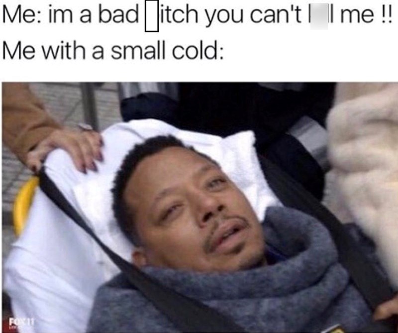 Me: im a bad ☐ itch you can't | | me !! Me with a small cold: FOX IT
