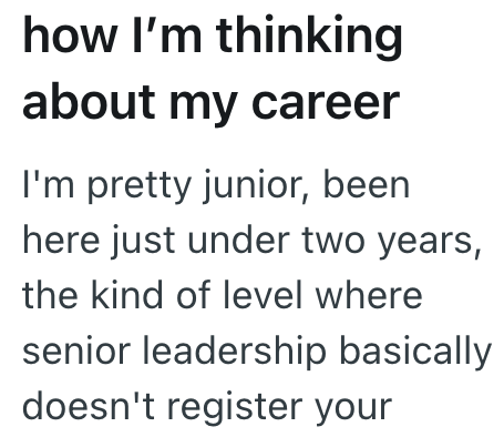 how I'm thinking about my career I'm pretty junior, been here just under two years, the kind of level where senior leadership basically doesn't register your