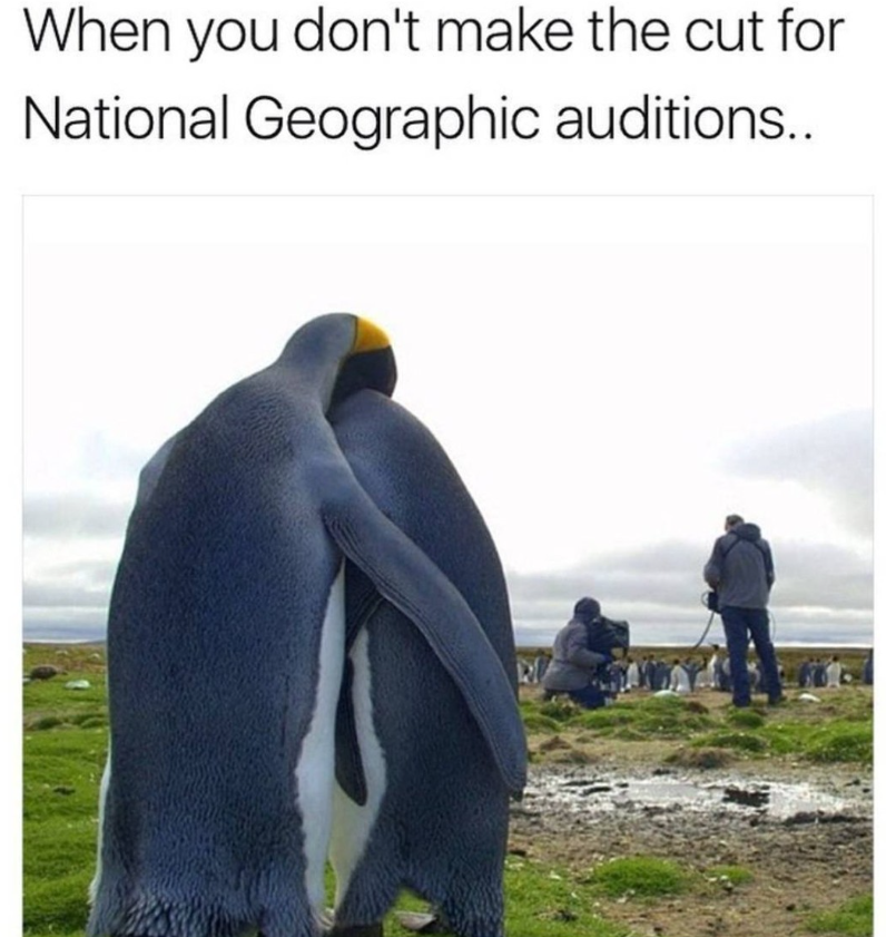 When you don't make the cut for National Geographic auditions..