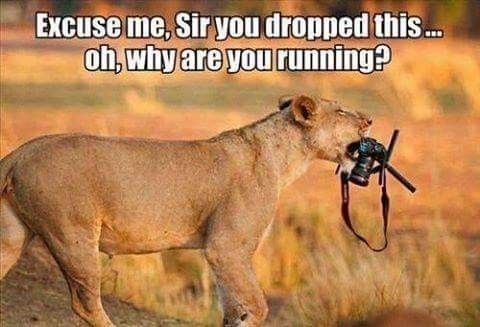 Excuse me, Sir you dropped this... oh, why are you running?