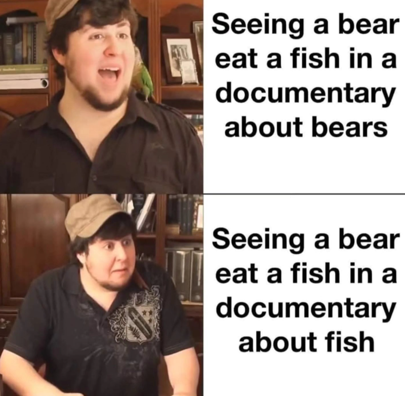 1111 Seeing a bear eat a fish in a documentary about bears Seeing a bear eat a fish in a documentary about fish