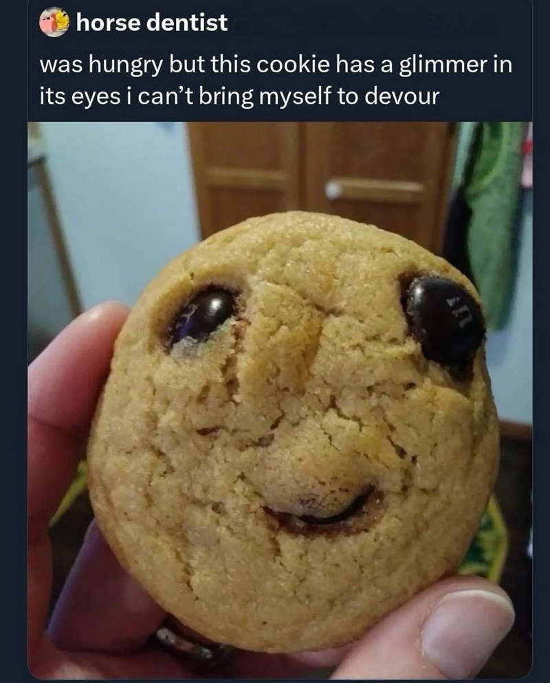 horse dentist was hungry but this cookie has a glimmer in its eyes i can't bring myself to devour