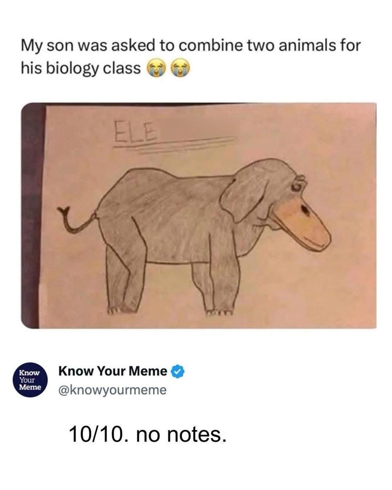 My son was asked to combine two animals for his biology class ELE Know Your Meme Know Your Meme @knowyourmeme 10/10. no notes.