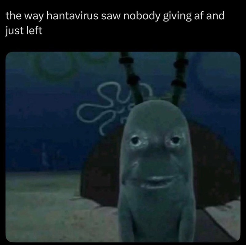 the way hantavirus saw nobody giving af and just left