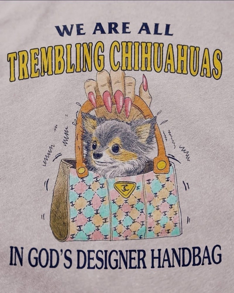 WE ARE ALL TREMBLING CHIHUAHUAS www. umum. wwwm www www 19-19 一 === --------- ------ J IN GOD'S DESIGNER HANDBAG