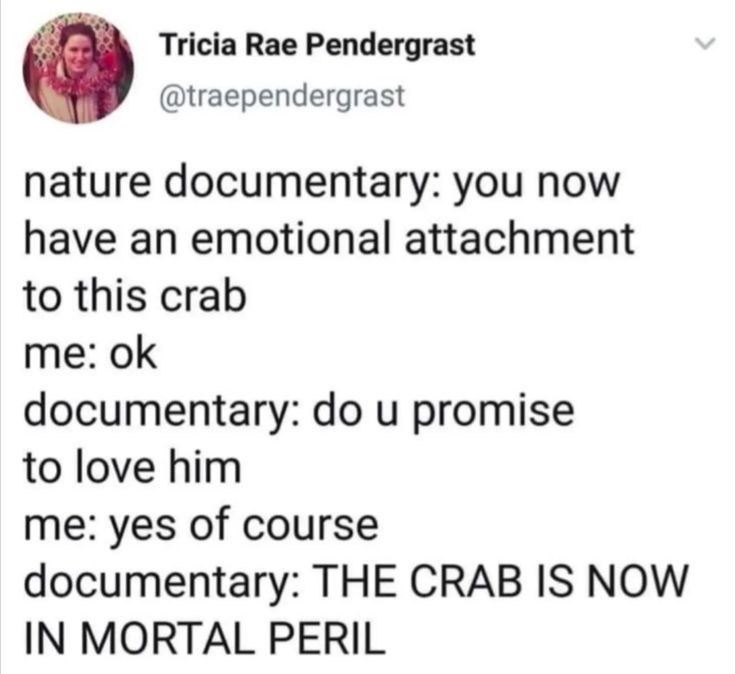 Tricia Rae Pendergrast @traependergrast nature documentary: you now have an emotional attachment to this crab me: ok documentary: do u promise to love him me: yes of course documentary: THE CRAB IS NOW IN MORTAL PERIL