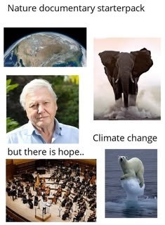 Nature documentary starterpack Climate change but there is hope..