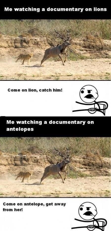 Me watching a documentary on lions Come on lion, catch him! Me watching a documentary on antelopes Come on antelope, get away from her!