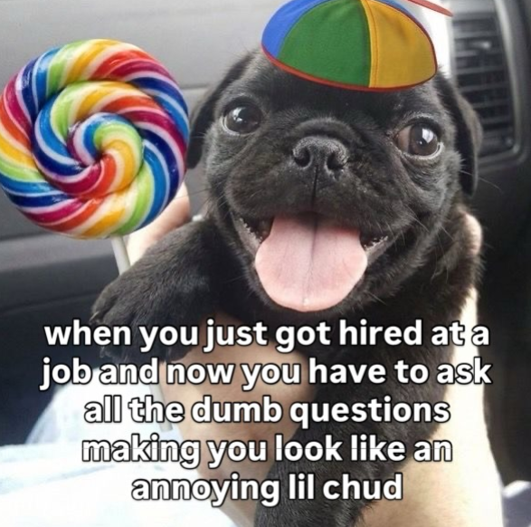 when you just got hired at a job and now you have to ask all the dumb questions making you look like an annoying lil chud