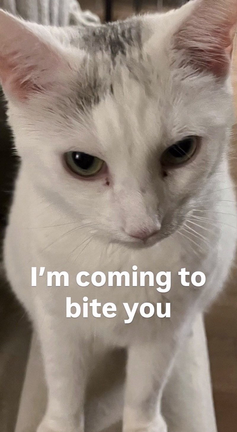 I'm coming to bite you