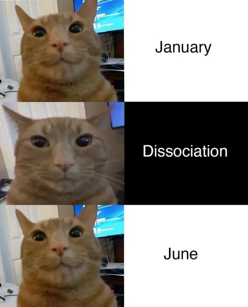 January Dissociation June