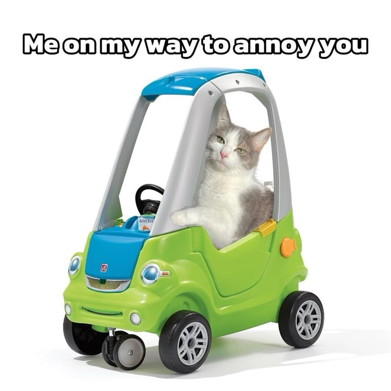 Me on my way to annoy you Juice Box